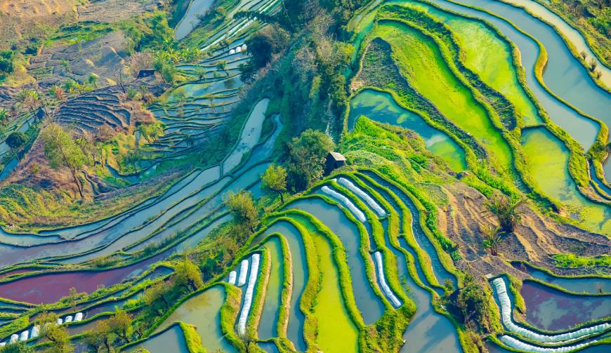 走进彭州TVC拍摄：解锁本地化场景与创意镜头的完美融合